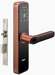 Smart Door Locks