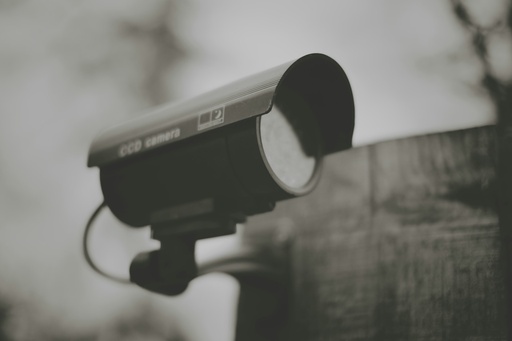 Indoor/Outdoor Security Camera